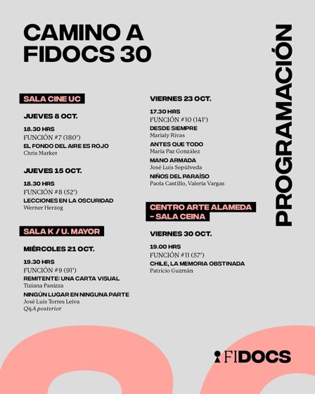 Camino a FIDOCS 30 (programación)