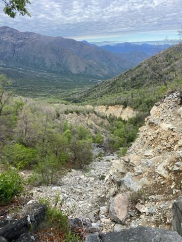 Amigos del Cerro