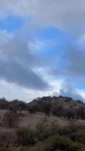 Cerro Lonquén