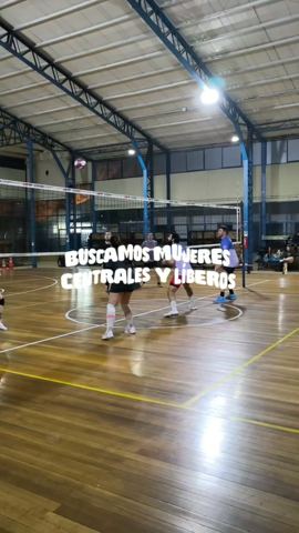 Gato Barato Vóleibol