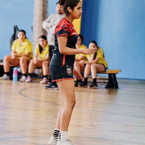 MET Handball Club