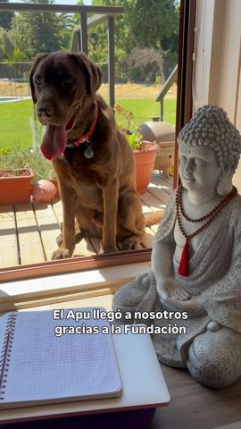 ॐ Pame Olivares ॐ