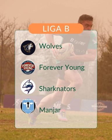 Touch Chile (liga de touch rugby de Santiago)
