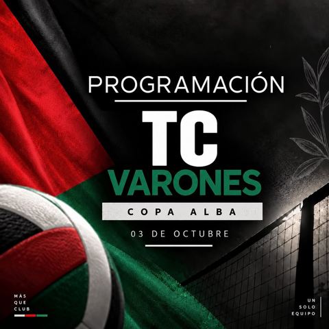 Voleibol Club Palestino