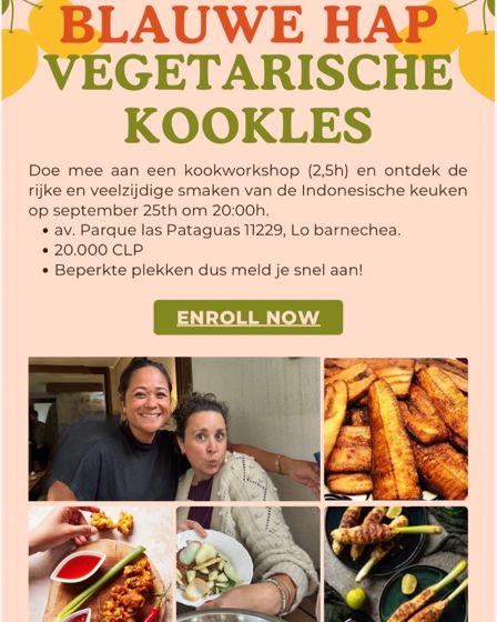 Nederlandse Vereniging in Chili