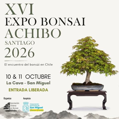 XVI Expo Bonsai AChiBo