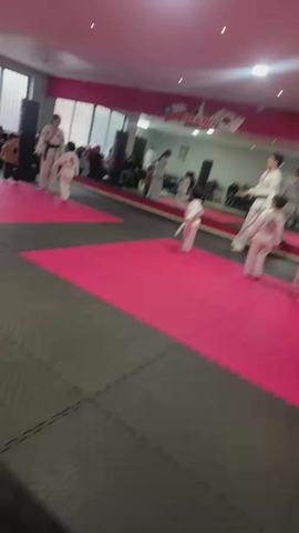 Clases de Artes Marciales Tigers