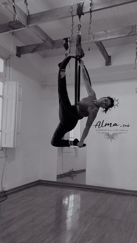 Clases de Aerobic y Aerotonic Alma.in