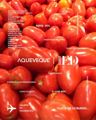 Aqueveque Ed Bazar