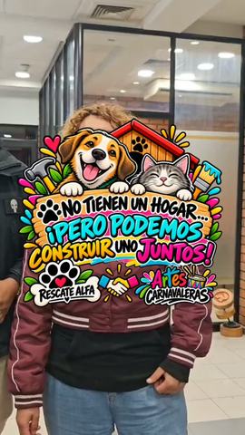 Construcción casitas comunitarias para animales