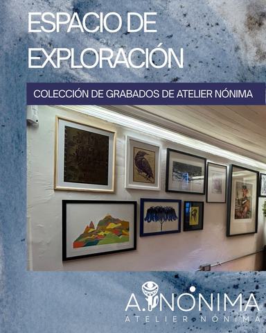 Espacio de Exploración: Colección Atelier Nónima