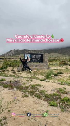 Tour Desierto Florido