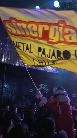 Sinergia en Otakupeluzza