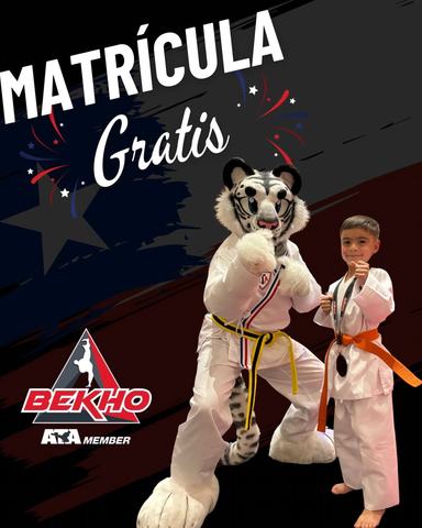 Clases de Taekwondo Bekho Maipú