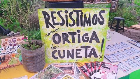 Bosquebarrio