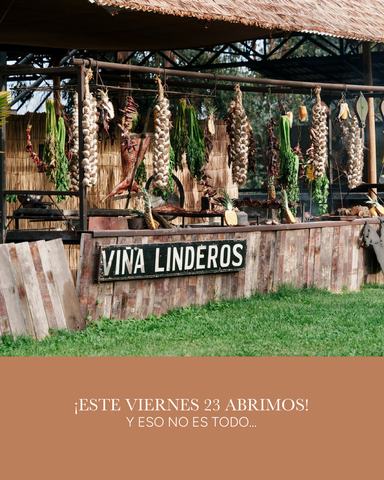 Asado at Viña Linderos