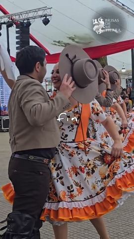 Brisas De Mi Tierra