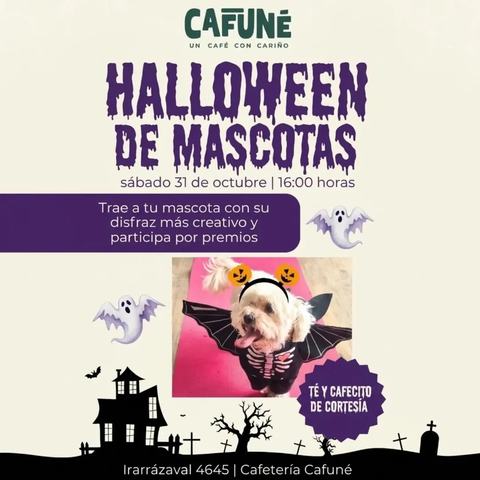 Halloween Pet Parade