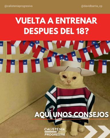 Clases personalizadas de calistenia