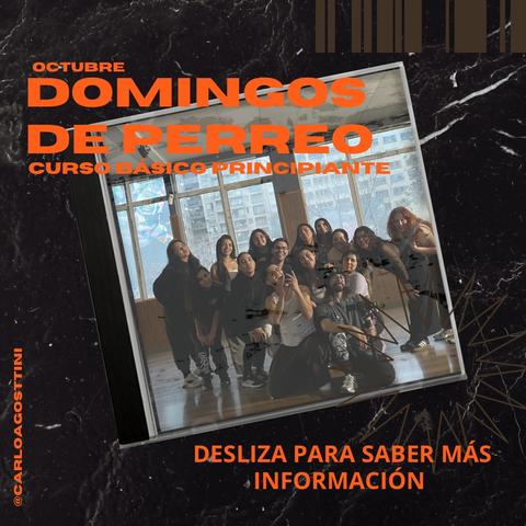 Domingos de Perreo - Curso Básico Principiante