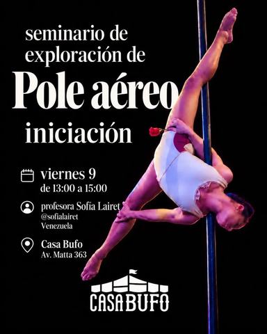 Seminario de Pole Aéreo - Iniciación