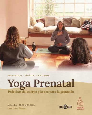 Yoga Prenatal Casa Gato