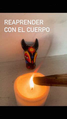 Ciclo Reaprender con el Cuerpo