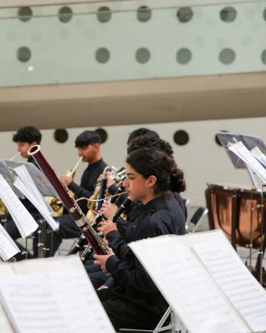 Orquesta Sinfónica Juvenil Jorge Peña Hen
