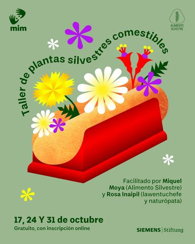 Taller de Plantas Silvestres Comestibles