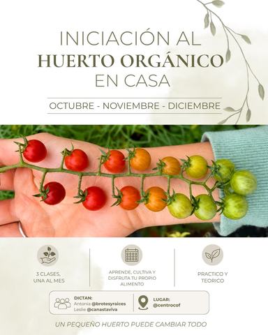 Iniciación al Huerto Orgánico en Casa