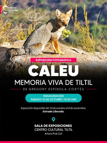 Inauguración Exposición Caleu