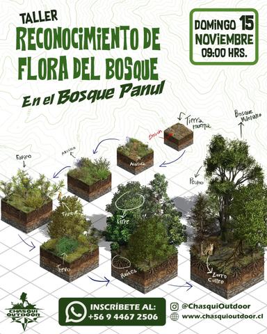 Taller Reconocimiento Flora del Bosque
