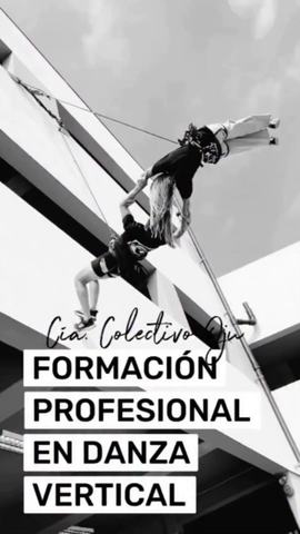 Programa Profesional de Danza Vertical