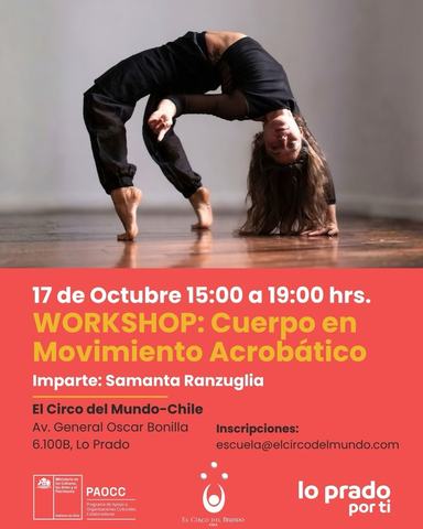 Acrobatic Body in Motion Workshop
