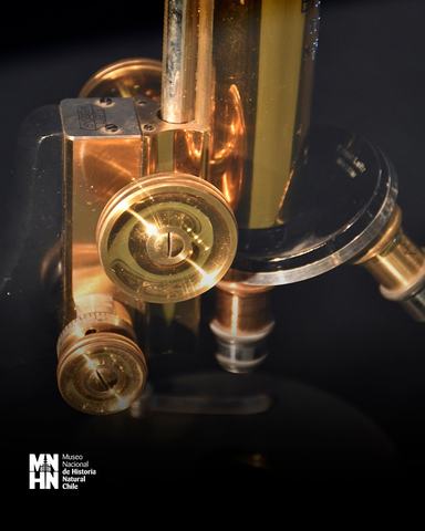 Vitrina de Microscopía Botánica