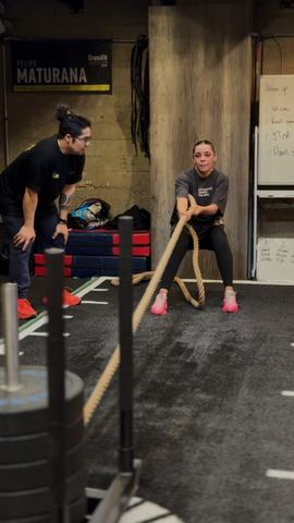 Entrenamiento en Zoob