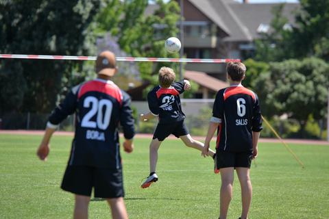 Panamericano de Faustball