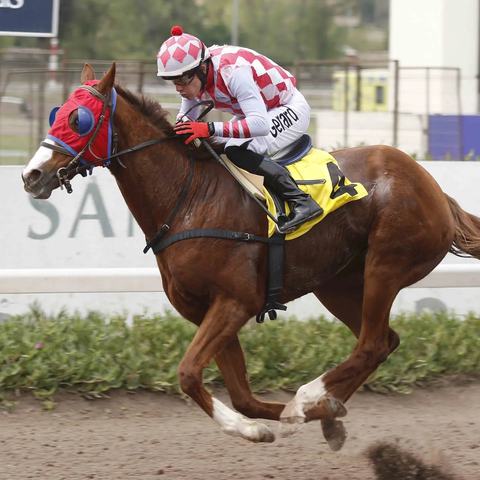 Jornada de Carreras Club Hípico