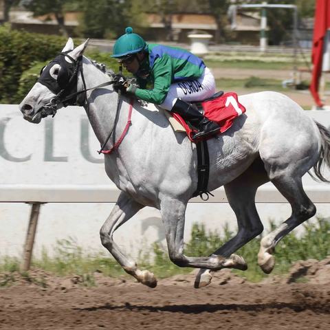 Carreras Hípicas Club Hípico