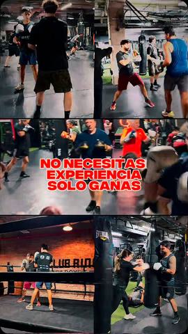 Clases de Boxeo en Club Ringo