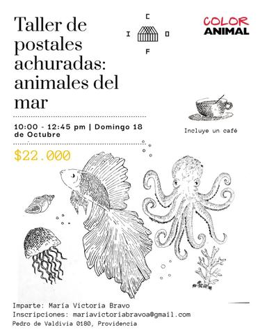 Taller de dibujo: Animales del mar