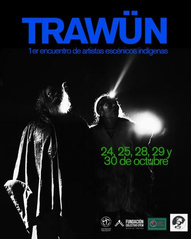 Trawün: Encuentro de Artistas Indígenas