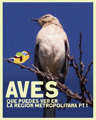 Colectivo Fiu 𓅪 𓋼𓍊