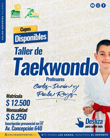 Taller de Taekwondo Adultos