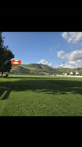 CUP Ultimate Primavera