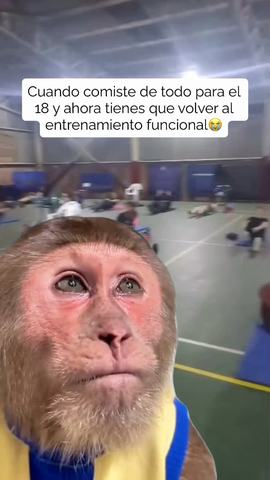 Talleres de Deportes Peñalolén