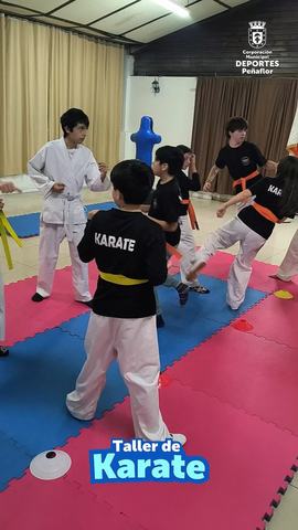 Taller de Karate