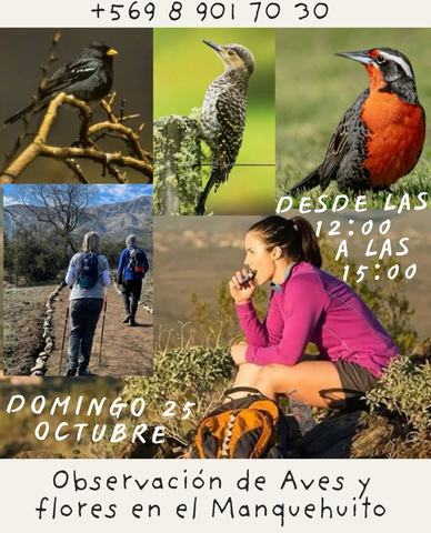 Caminata Observación de Aves y Flores