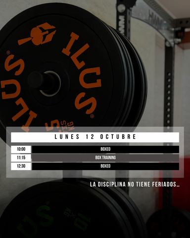 Clases de Boxeo en ILUS