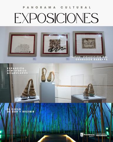 Expansión / Hemisferios / Acumulados